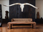 Crânio Real de Touro - Chifre LongHorn