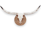 Crânio Real de Touro - Chifre LongHorn